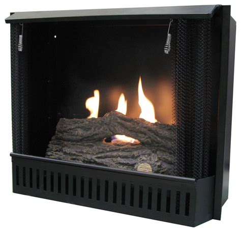 paramount gel fireplace inserts